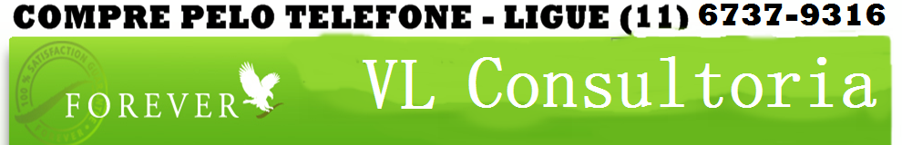 VL CONSULTORIA